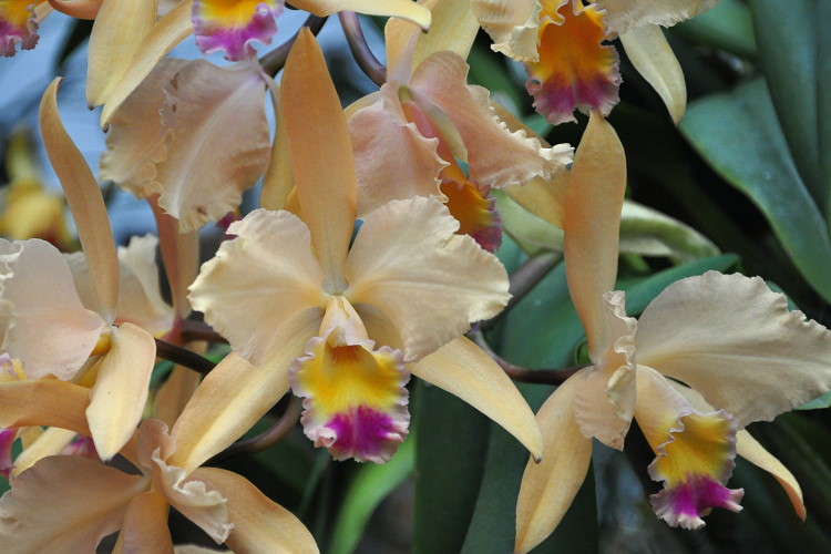DSC_3390a.JPG