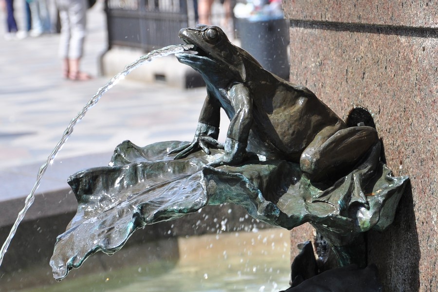 DSC_2168w.JPG