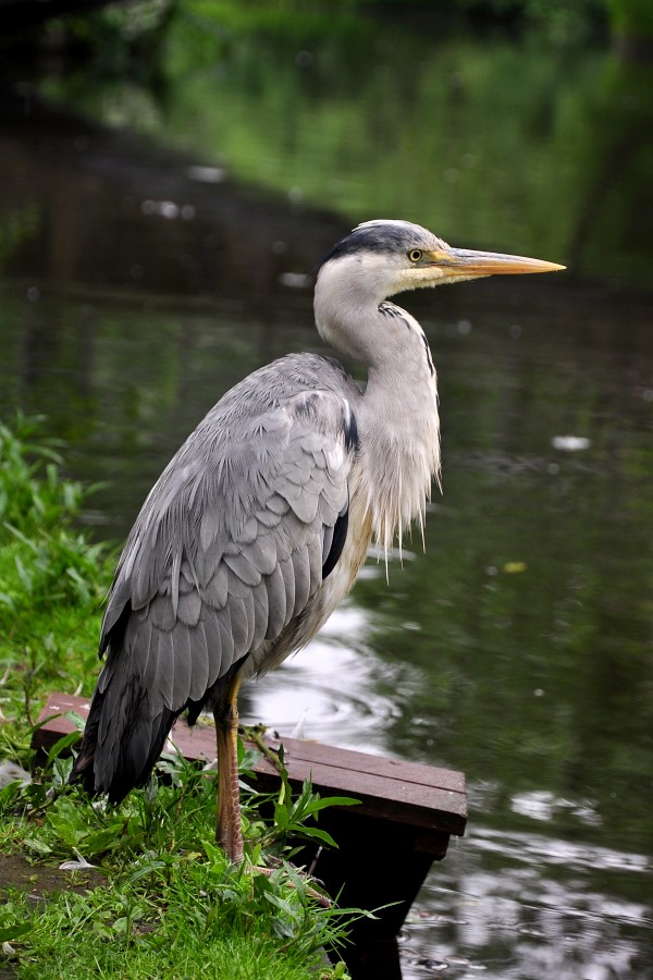 DSC_2624w.JPG