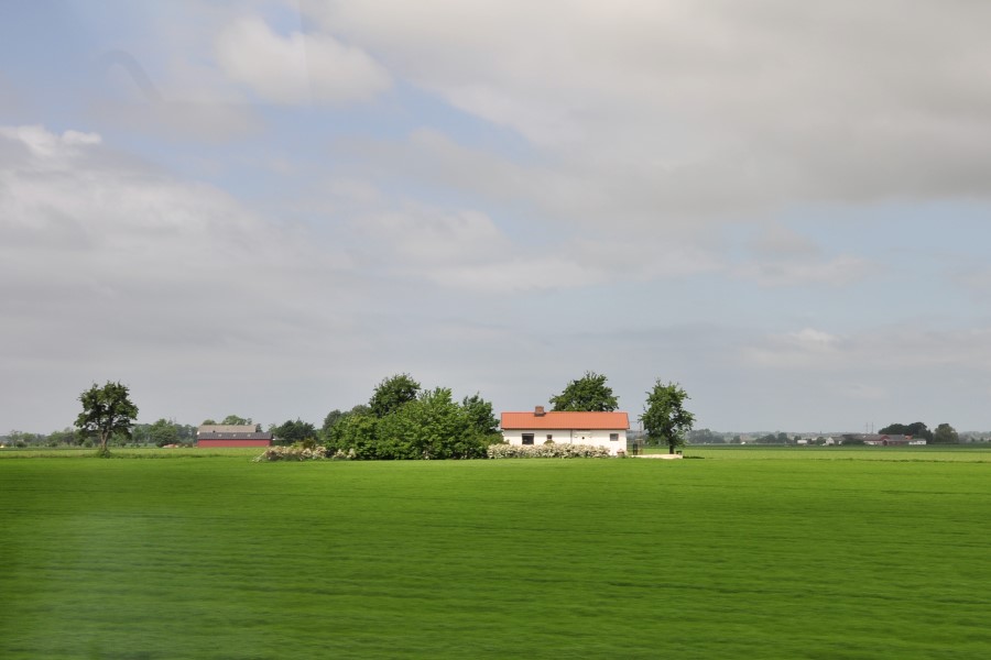 DSC_2751w.JPG