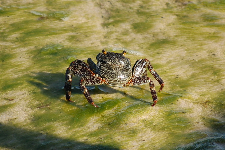 DSC_3662w.JPG