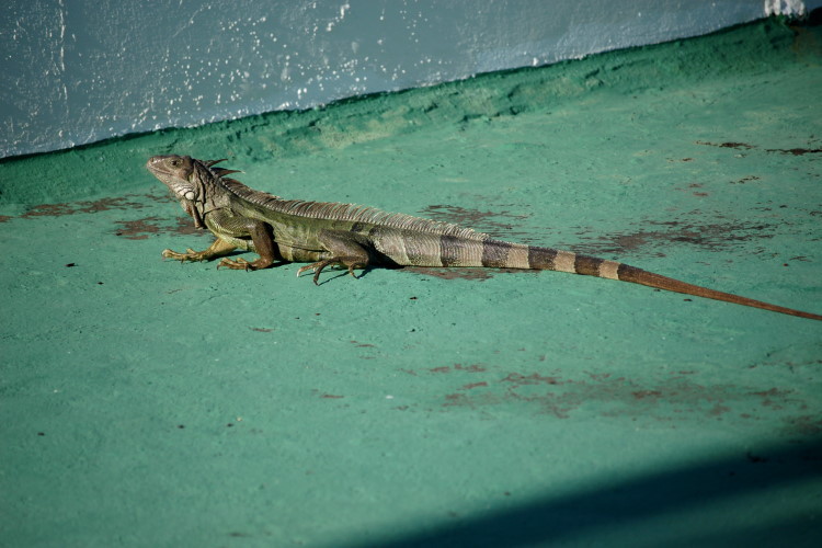 DSC_3664w.JPG