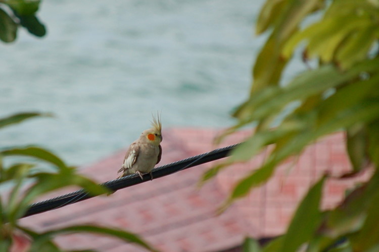 DSC_3677w.JPG
