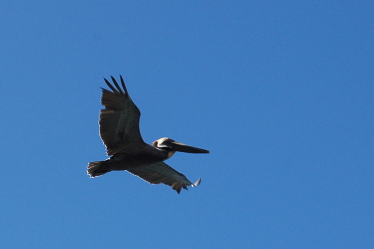 DSC_3688w.JPG