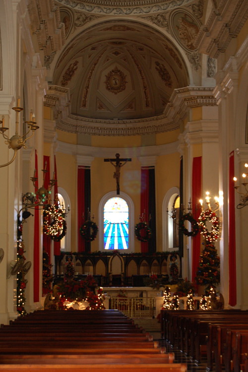 DSC_3699w.JPG