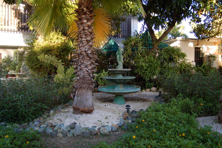 DSC_3738w.JPG