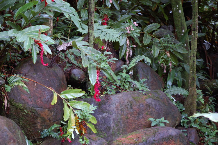 DSC_3755w.JPG