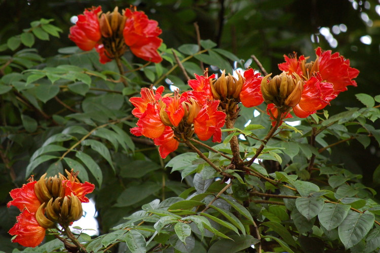 DSC_3759w.JPG