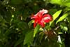 DSC_3747w.JPG