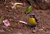DSC_3778w.JPG